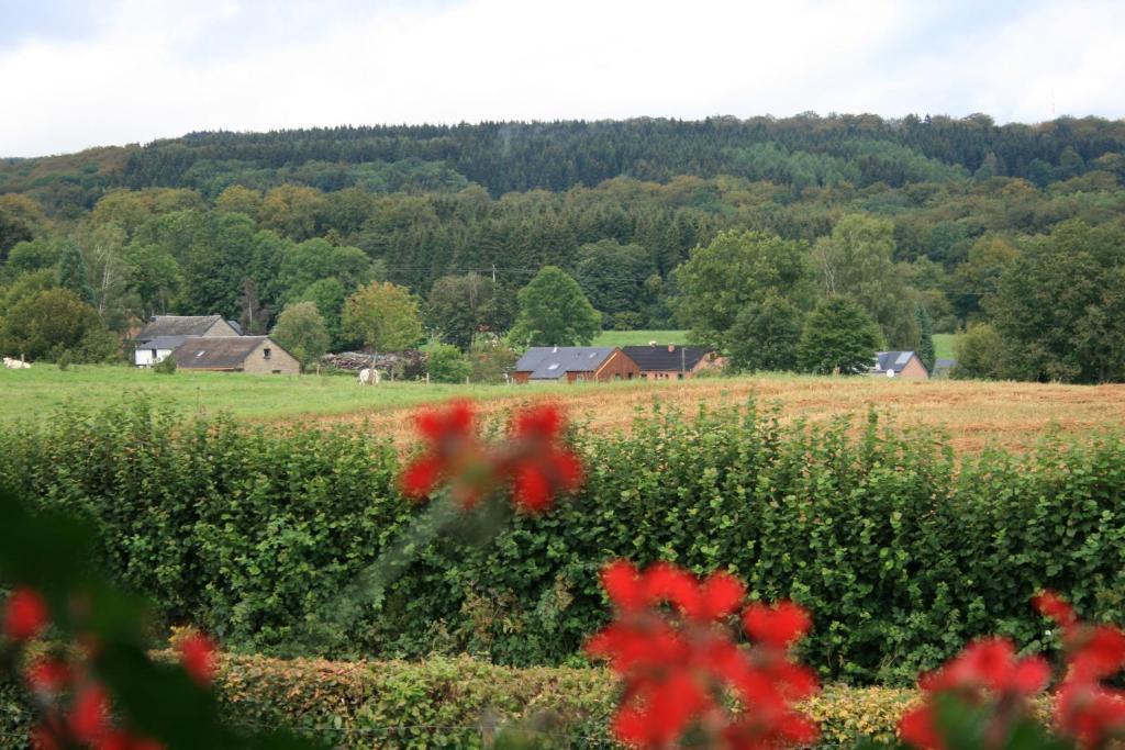 Chambres D'Hotes Les Trappeurs Silence & Nature Tenneville Rom bilde
