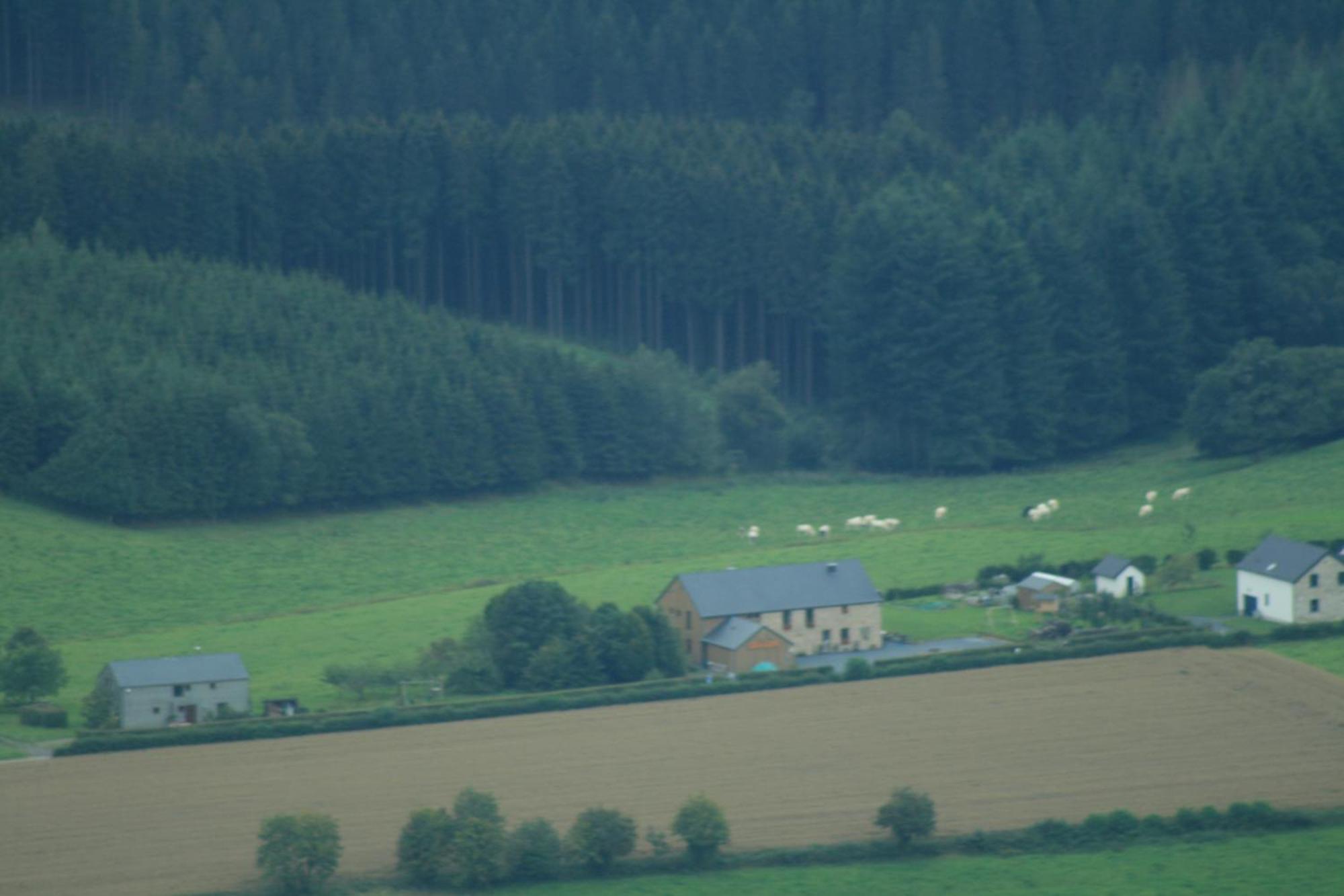 Chambres D'Hotes Les Trappeurs Silence & Nature Tenneville Eksteriør bilde